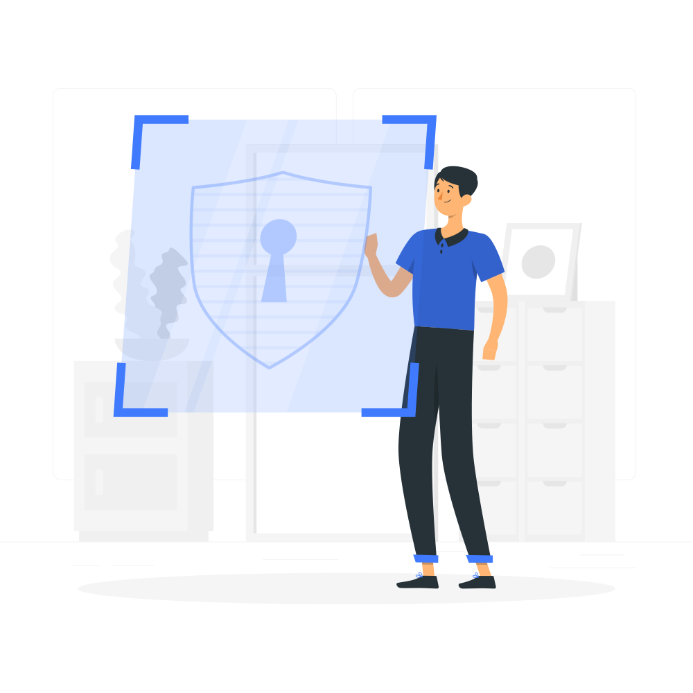Website Security Check and Protection